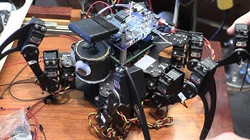 Phoenix Hexapod Audio