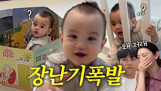 [VLOG] 육아난이도 최상일까요🔥? (성장통, 태명부르기, 한복 피팅, 돌준비)