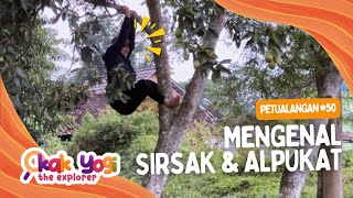 Kak Yogi The Explorer: Getting to Know Soursop & Avocado