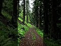 #hills #mountains#path #nature #walking #sound #shortvideo #shortsfeed #shorts #shortsfeed #4k #dark