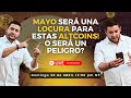 ¿Será MAYO el mes de una gran caída en #BITCOIN o será el mes donde las #ALTCOINS exploten al alza?