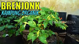 Brenjonk, Kampung Organik Di Lereng Gunung Mojokerto Tau Gak Sih 270720