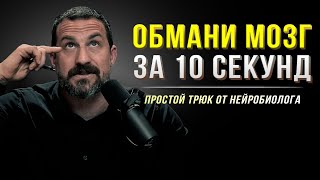 Нейробиолог: это на самом деле работает! 10 секунд и ты забудешь про усталость!