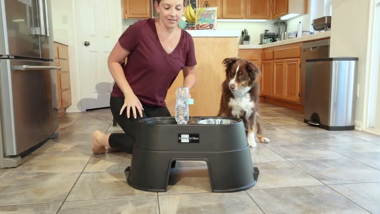 Pet Supplies   OurPets Comfort Diner Elevated Dog Food Dish Raised Dog Bowls Available in 4 inches,