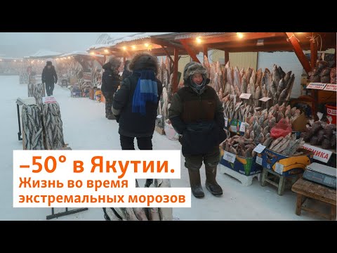 Видео: –50° в Якутии. Жизнь во время экстремальных морозов | Сибирь.Реалии