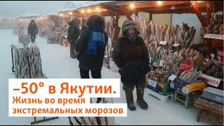 –50° в Якутии. Жизнь во время экстремальных морозов | Сибирь.Реалии