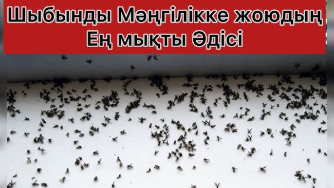 Үлкен кеуделі әйелдер бейнеленген орыс порно