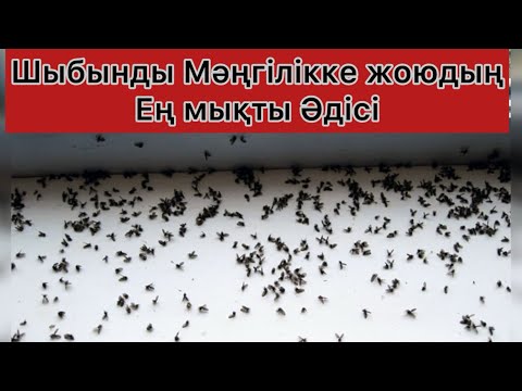 Жигулидегі секс Жетілген әдемі әйелдер