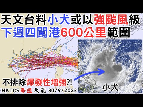 【HKTCS每週天氣30/9/2023】熱帶氣旋小犬會否襲港? 歐美模式分歧頗大 未來環境因素有利小犬爆發性增強!