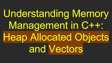 Understanding Memory Management in C++: Heap Allocated Objects and Vectors
