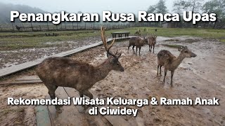 Ranca Upas Deer Farm - The Perfect Choice for Family Vacations in Ciwidey, Bandung