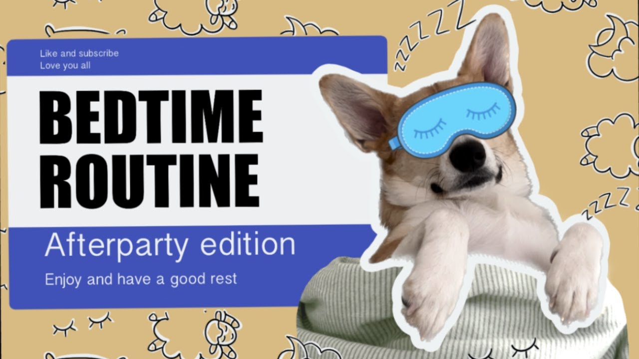 Bedtime Routine Fail MY DOG'S BEDTIME ROUTINE | DOG MAKE THE BED! | #fail #shorts #dog - YouTube