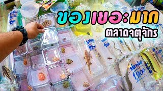 เลือกซื้อของตลาดจตุจักร ได้สมาชิกใหม่