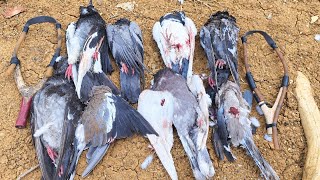 Extreme Slingshot Skill: Hunting Wild Pigeons