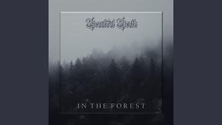 In the Forest