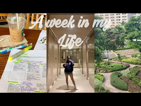 College Diaries: A week in my life ☕️