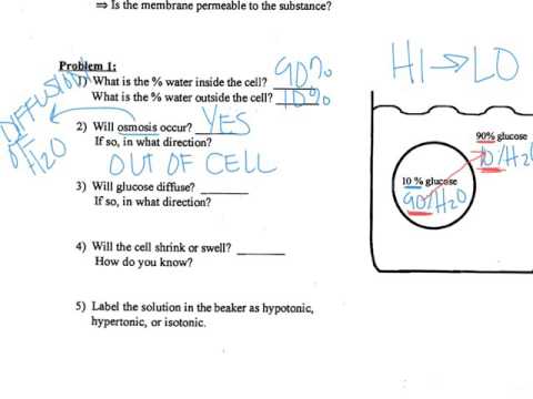 Osmosis Practice Worksheet Answer Key Pdf - Worksheets Joy