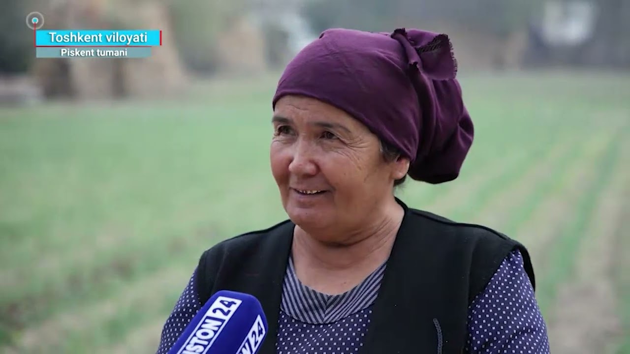 🌱 Кузги тўқонбости экинлар – бахорги даромад манбаи