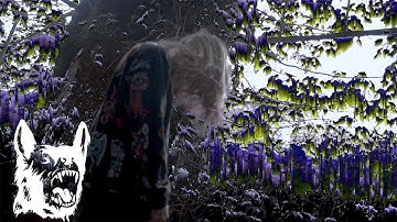 N1MBUS - Word To My Witches (Dir. Wolfgang Stoltz)