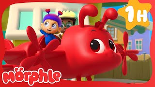 Magic Pet Talent Show | Morphle 1 HR | Moonbug Kids - Fun Stories and Colors