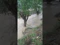 Баткен областы кызыл коргон айылы сел