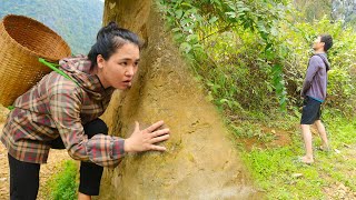 Full Video: Daughter discharged from hospital, Harvesting dac seeds, taking care of children