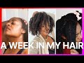 🚿 A WHOLE WEEK in My 4c Hair Routine | Aloe Vera Prepoo & Moisturize | Low Porosity