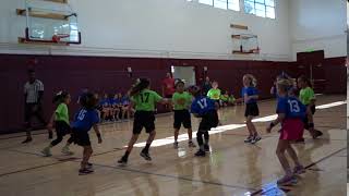 2019-0209 Wings vs. Starzz | TORRANCE YOUTH BASKETBALL 2019 | DIVISION 2 WHITE