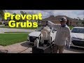 Get Rid of Grubs in Your Lawn | Grub Prevention Strategy