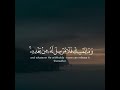 القارئ سعد الغامدي سورة فاطر