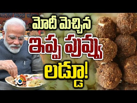 ఆదిలాబాద్‌ ఆదివాసీలకు జాతీయ స్థాయిలో గుర్తింపు | 10TV Ground Report On Tribals Ippapuvvu Laddu