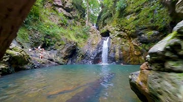 Fpv drone through the forest// Tallebudgera Gorge Fall
