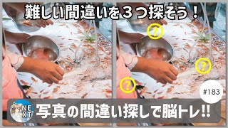 『写真で間違いさがし』の脳トレ！ #183 「金魚すくい」「小朝日岳と稜線」「ティータイム」【高難易度】｜Find the difference game in photos screenshot 5