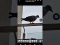 Samsung One UI Object Eraser | Quick and Easy 💯 #samsung #photoediting #photography #shorts #trend