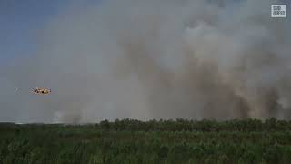 Incendies en Gironde : images impressionnantes d'un Canadair en plein largage