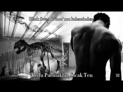 Jungkook ile hayal et | Tozlu Parmaklar, Sıcak Ten | SMUT işbirliği @Noxlilya 
