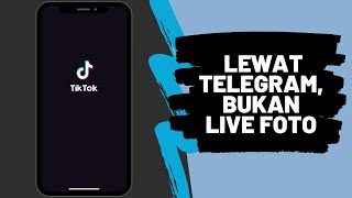 Cara Download Video Tiktok Tanpa Watermark via Telegram Bot