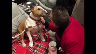 Classic Kippers John Pickens Custom Clothiers