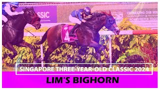 Singapore Three-Year-Old Classic 2024 (Lim's Bighorn)
