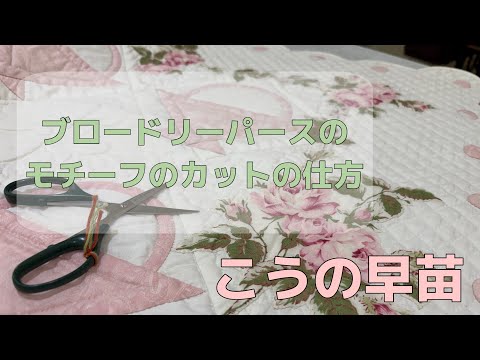 こうの早苗 - YouTube こうの早苗 - YouTube