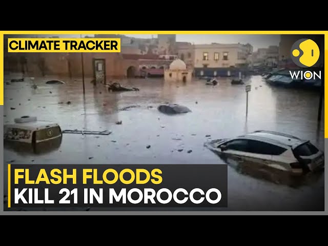 Deadly Flooding Strikes Coastal Morocco | WION Climate Tracker