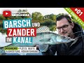 Barsch und Zander Angeln am Kanal (Staffel 2, Folge 1)