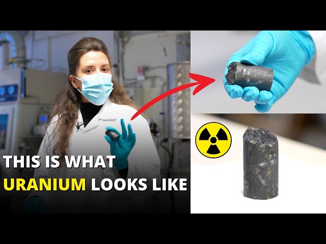 Uranium Uses In Everyday Life Nuclear Energy