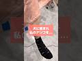 【婦人科形成術】動物カフェでまさかの出来事#shorts
