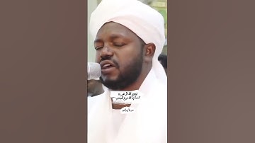 سورة إبراهيم ||   نورين محمد صديق #المصحف #القرآن_الكريم #سورة