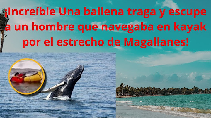 "😱💥 ¡INCREIBLE! Como Jonás: Ballena ESCUPE a un hombre en Chile 🐋🤯 ¡Todo quedó grabado!"