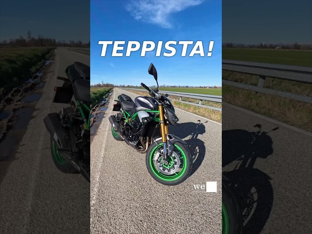 Teppista perfetta! | Kawasaki Z900 SE #Shorts