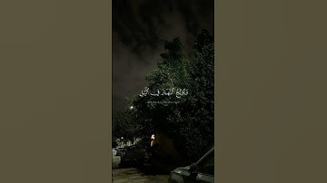تلاوة مباركة خاشعة بصوت يلامس القلوب #اكسبلور #المصحف #القران #حالات_واتس #خطبه #لايك #دويتو