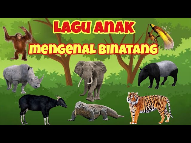 Lagu Anak Mengenal Binatang Khas Indonesia class=