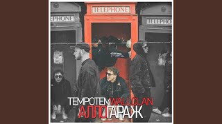 Бабочки - WallClan, Tempotem